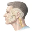 Kinésithérapie Maxillo-faciale